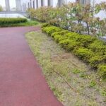 久御山町で芝刈り・草刈
