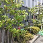 医療施設の植栽年間管理