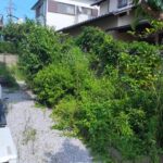 空き家の草刈・剪定