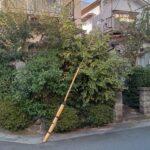 空き家の剪定・草刈キャンペーン’26｜京田辺市・八幡市の空き家管理